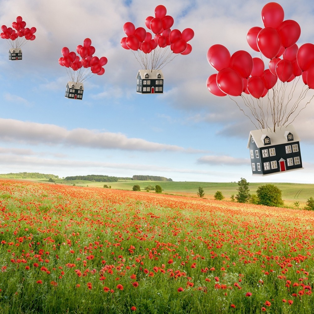 Huizen die vast zitten aan ballonnen en over een bloemenveld vliegen